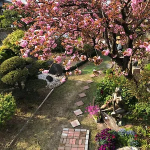  ホームステイ Sakura House